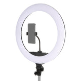 Lámpara anular LED Studioking 65W LR-650