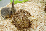 El primer sauce de juguete para mascotas feliz de la naturaleza
