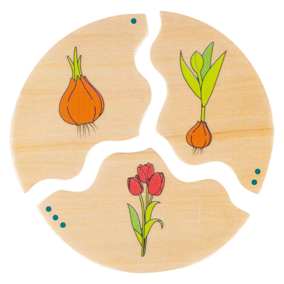 Beleduc nawito evolución de la naturaleza juego infantil de madera