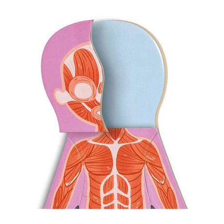 Puzzle magnético del cuerpo humano Hape - 63 piezas.