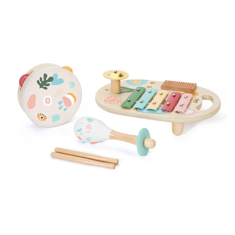 Conjunto de instrumentos musicales de madera del mundo clásico iris