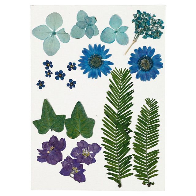 Creativ empresa flores y hojas secas azul, 19 uds.