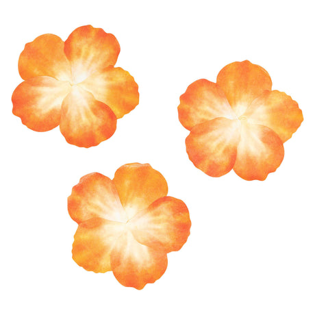Coloraciones - Pegatinas Washi - Pétalos de naranja, 80.