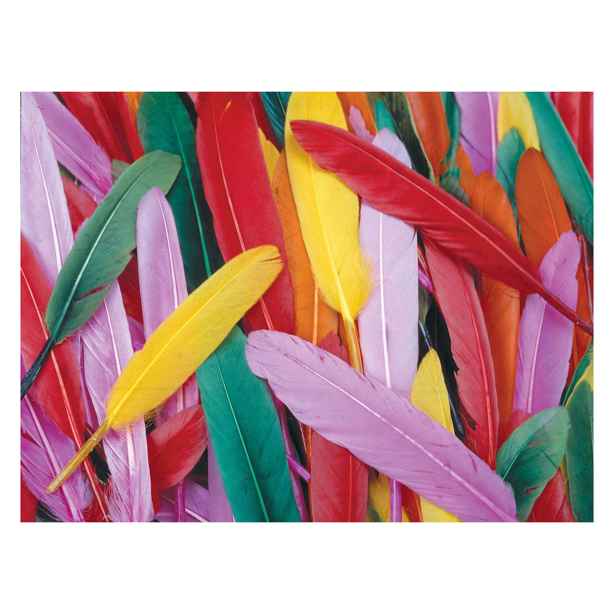 Coloraciones - Springs de pato de color, 28.5 gramos