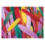 Coloraciones - Springs de pato de color, 28.5 gramos