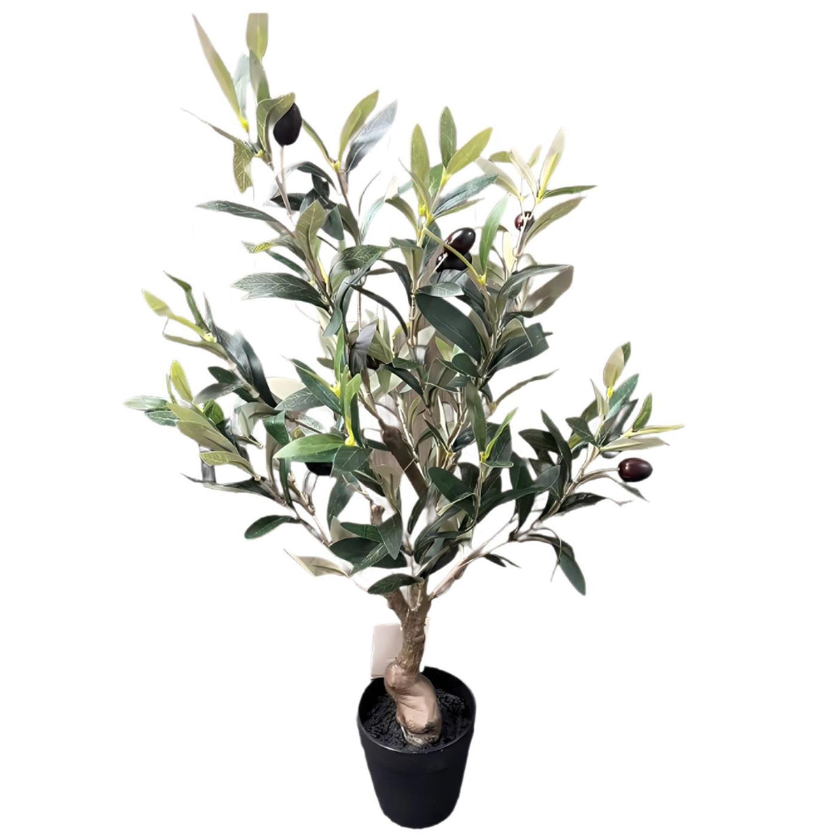 Olivo deco 60cm en maceta de plástico.