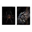 Carpeta con elastico araña a4