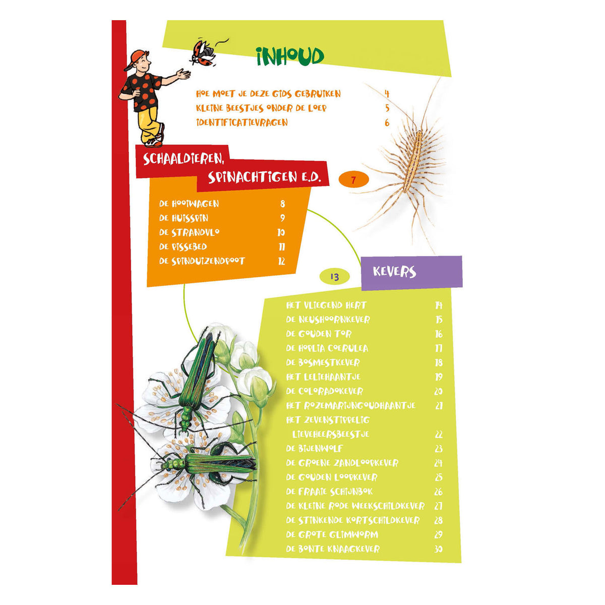 Deltas la mejor guía de insectos para niños.