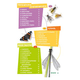 Deltas la mejor guía de insectos para niños.