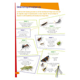 Deltas la mejor guía de insectos para niños.