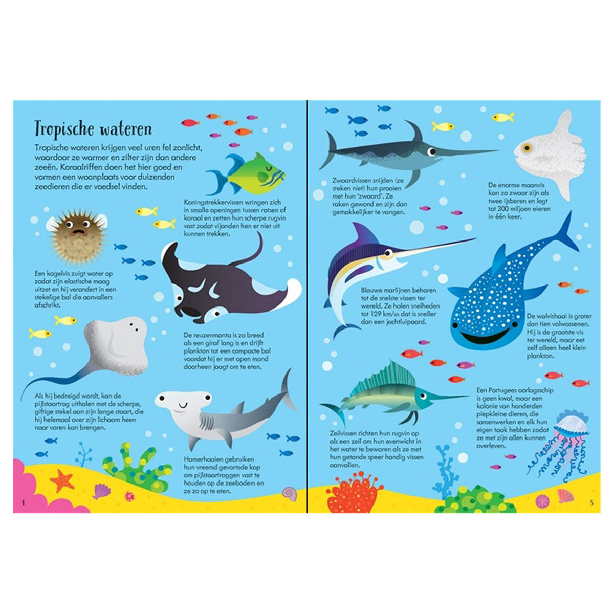WPG editores animales del mundo libro y rompecabezas