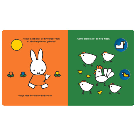 Casa central del libro Miffy en el zoológico de mascotas