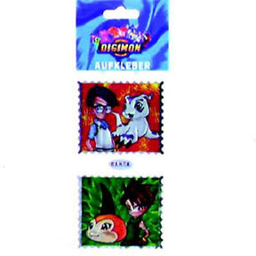 | 100 piezas