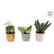 Peluche planta Take me home s 12-17cm