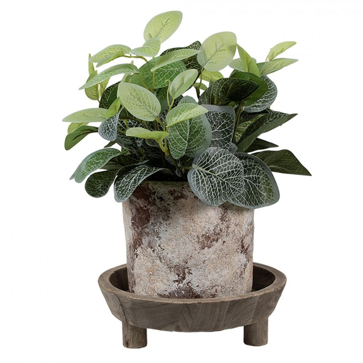 Cuenco decorativo Clayre eef ø22x7cm
