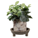 Cuenco decorativo Clayre eef ø22x7cm