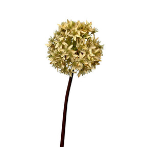 Roberts collection flor artificial bulbo de allium 60cm crema
