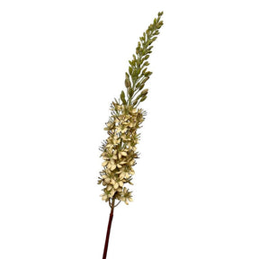 Roberts collection flor artificial eremurus cola del desierto 106cm crema