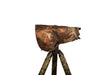 Buteo Photo Gear Cubierta de lluvia 1