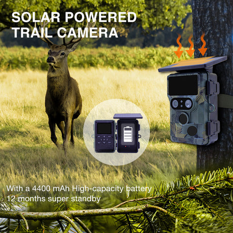 Cámara de vida silvestre con WiFi 4k solar de doble cámara Nightjar Stealth Gear