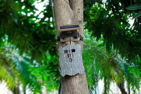 Cámara de vida silvestre wifi solar 4k con búho y engranaje sigiloso