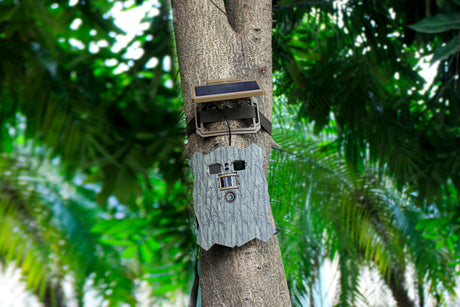Cámara de vida silvestre wifi solar 4k con búho y engranaje sigiloso