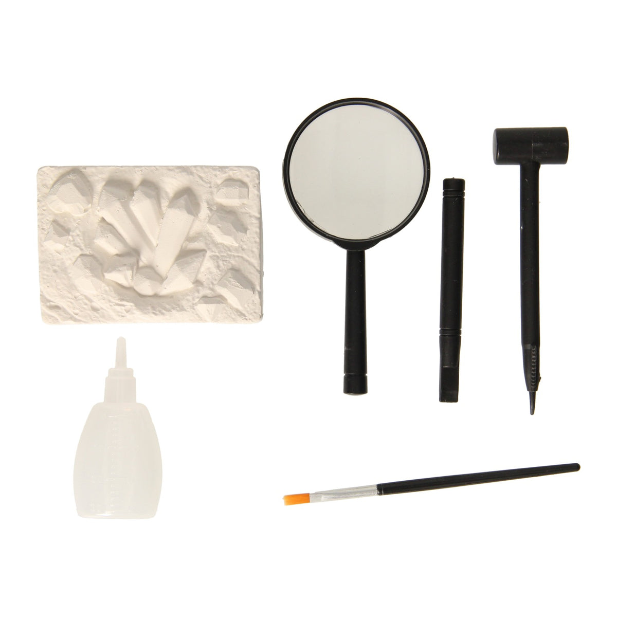 Rc insecten aheologie
