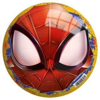 Hombre araña | 10 piezas