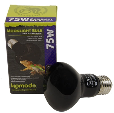 Lámparas de lámpara de noche de komodo
