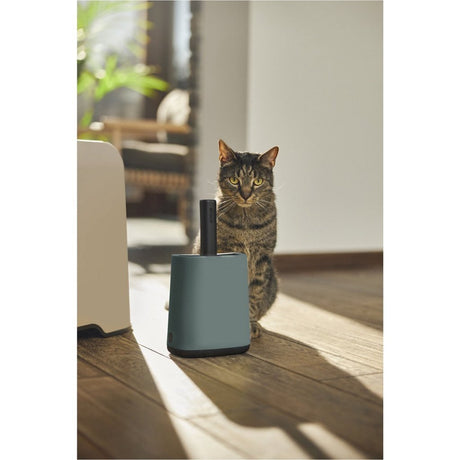 Rotho mypet set de limpieza 16,2x9,1x29 cm - caja de arena - verde antracita