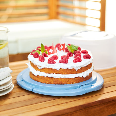 Rotho caja para tartas frescas horizonte azul