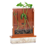 Experimentos: laberinto de plantas, 21 partes.