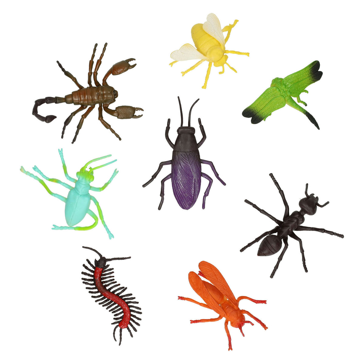 Insectos, 8º.