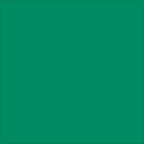 Empresa creativa https: www.cchobby.nl eva-foam-a4-sheet-210x297-mm-thickness-2-mm-darkgreen-10-sheet-1-doos
