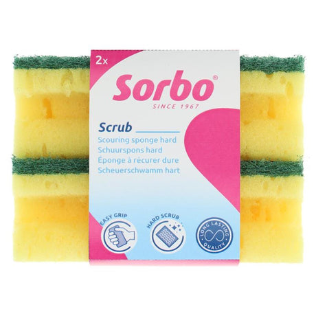 Sorbo estropajo duro con mango 11,5x6,5x4,5 juego de 2 piezas