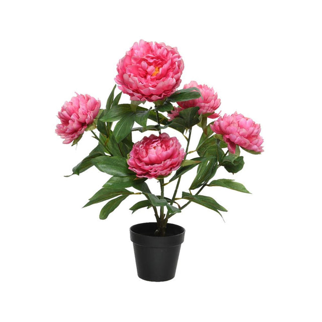 Decoris planta artificial peonía en maceta poliéster 41x47x57cm fucsia