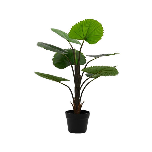 Decoris planta artificial licuala palma h75cm