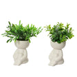 Decoris planta artificial en maceta con forma de cuerpo plastico ceramica dia.5x16cm 2 surtidos