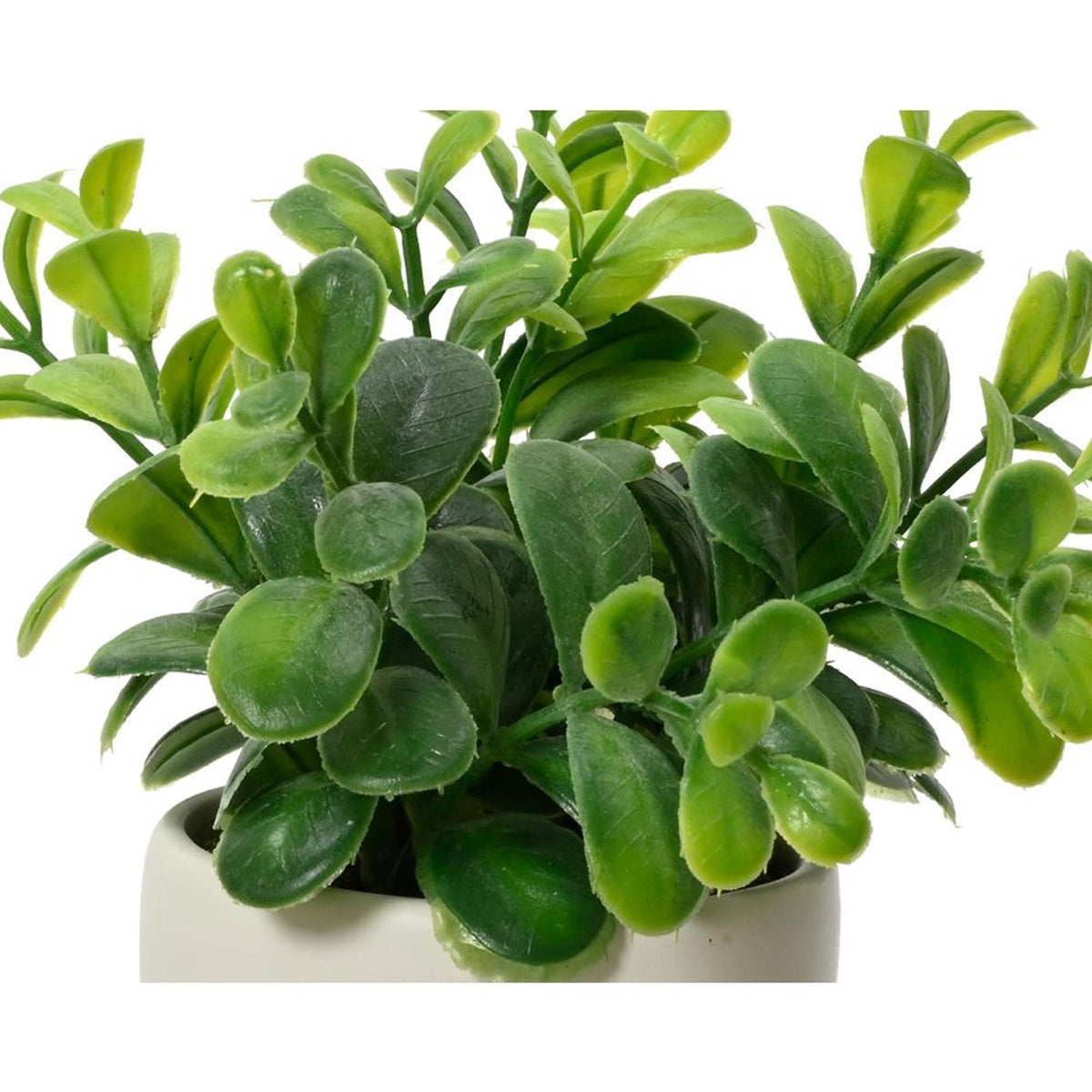 Decoris planta artificial en maceta con forma de cuerpo plastico ceramica dia.5x16cm 2 surtidos