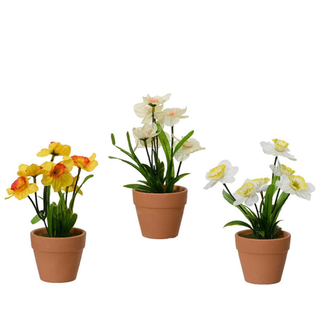 Decoris flor narciso en maceta de terracota ø7,5xh18cm