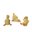 Decoris figura pato poliresina 10x11x13,5cm 3 surtidos