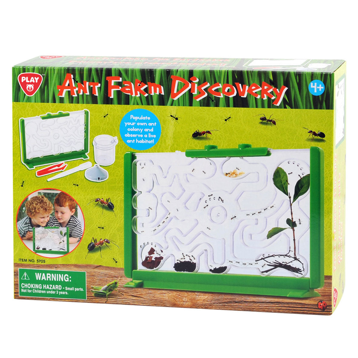 Caja de visualización de hormigas Playgo
