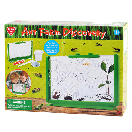 Caja de visualización de hormigas Playgo