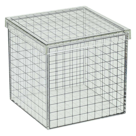 Cubo de rejilla 3D transparente pesca Albatros - 10x10x10 cm