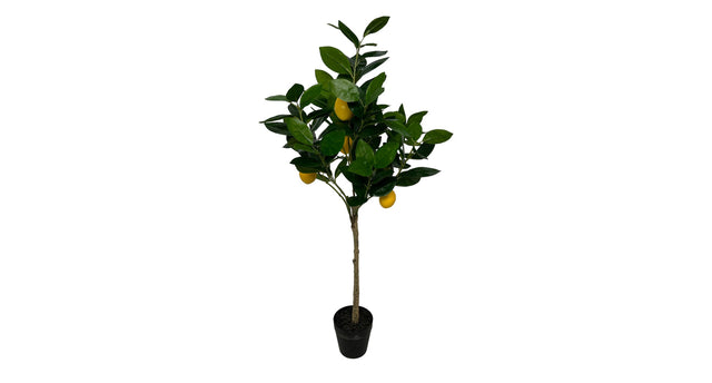 Lemon tree op stam 80 cm yellow