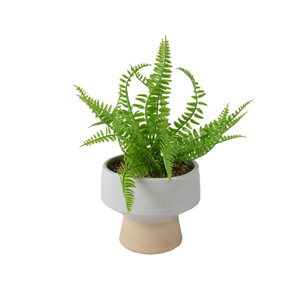 Decoris planta artificial helecho en maceta plástico dia15,30 15,3x15,3x24cm verde
