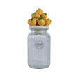 Tarro para guardar limones Decoris de vidrio y loza, diámetro 11x27 cm