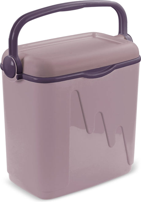 Nevera Curver - 20l - 43,2x21,6x38,8cm - violeta