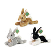 Conejos de peluche surtidos 22 cm eco-friend