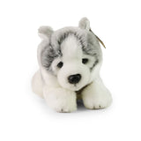 Peluche husky 24 cm ecológico